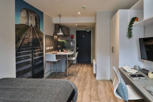 Classic Smaller Studio - Cityscape View