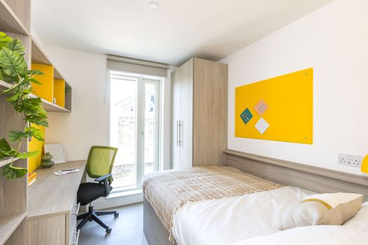 Photo of a timber Yard.