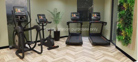 Photo of a stellaris.