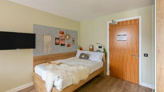 Extra Large Double Studio