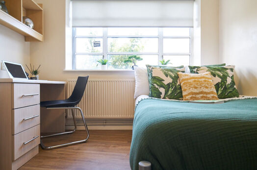 Photo of a st Andrew's Gardens.