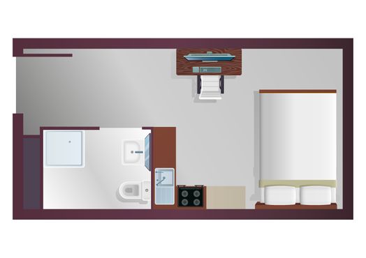 Luxury Studio (Dual Occupancy)