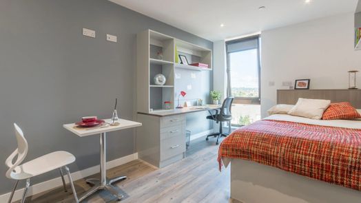 Large Premium Studio