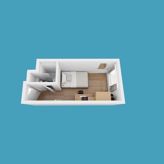 Ensuite Room