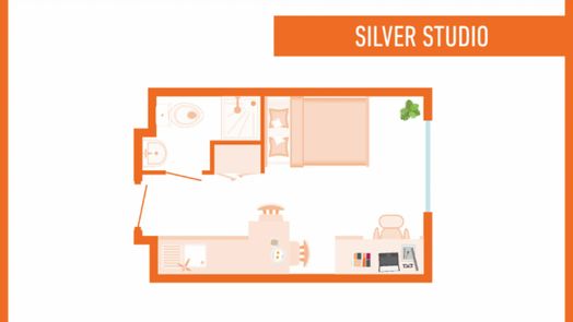 Silver Studio