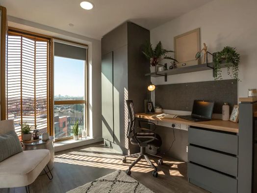 Premium Studio City View