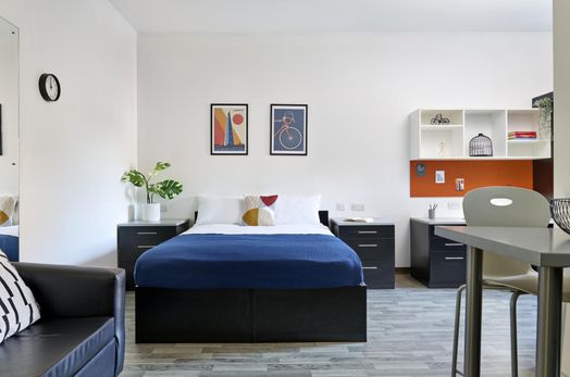 Platinum Plus Studio