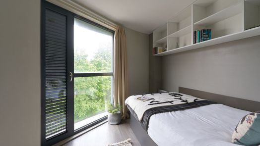 Deluxe Premium Ensuite