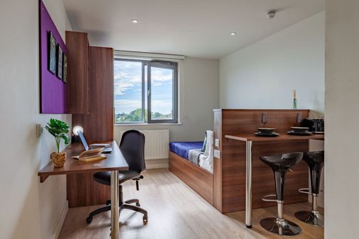 Standard Plus Studio