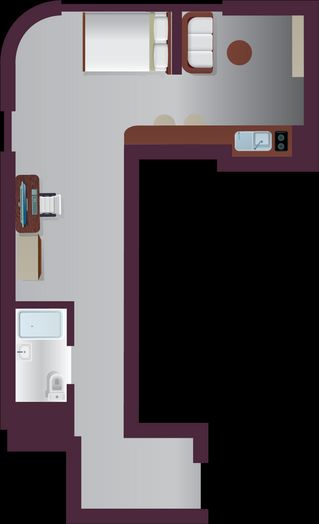 Platinum Plus Studio