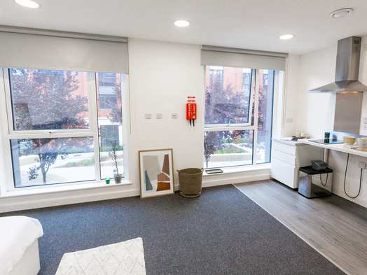 Large Premium Studio Accessible