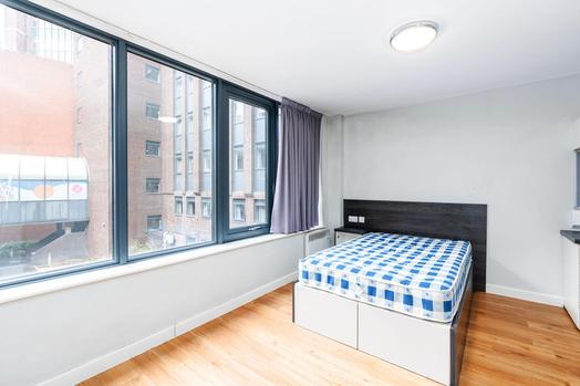 Premium Studio - Single