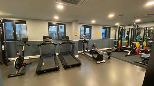 Photo of a bailey Point.