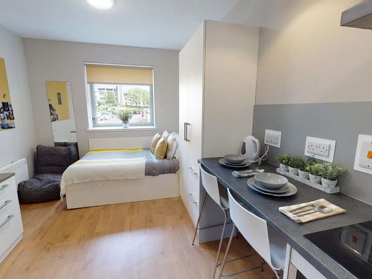 Premium Accessible Studio