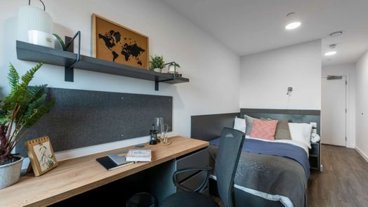 Deluxe Studio