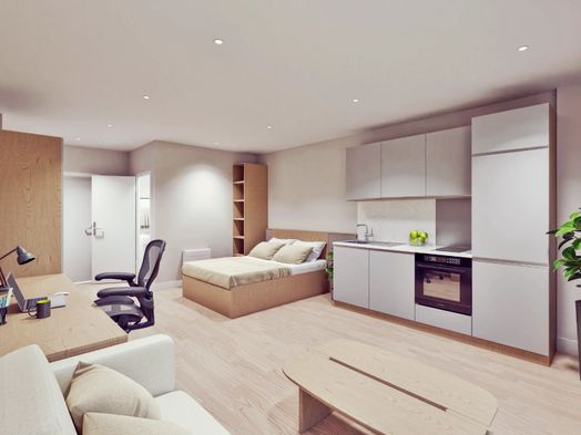 Luxury Studio