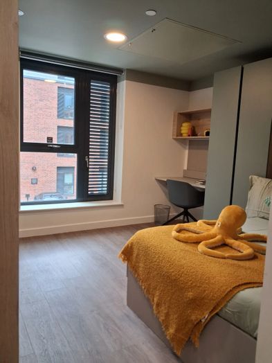 Large Studio – Accessible