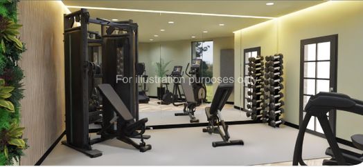 Photo of a stellaris.