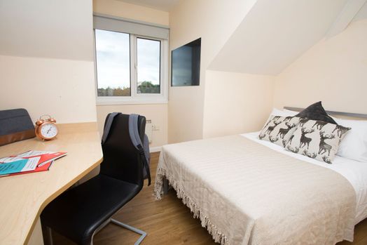 Photo of a heald Court.