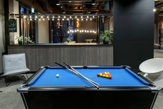 Photo of a true Swansea.