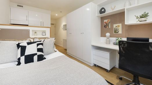 Standard Studio Gold - Dual Aspect