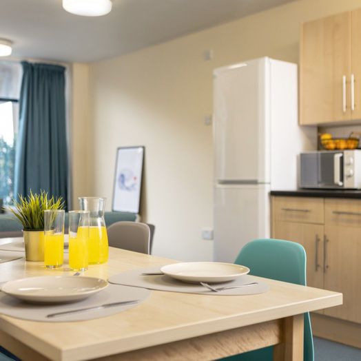 Photo of a newport Student Village.