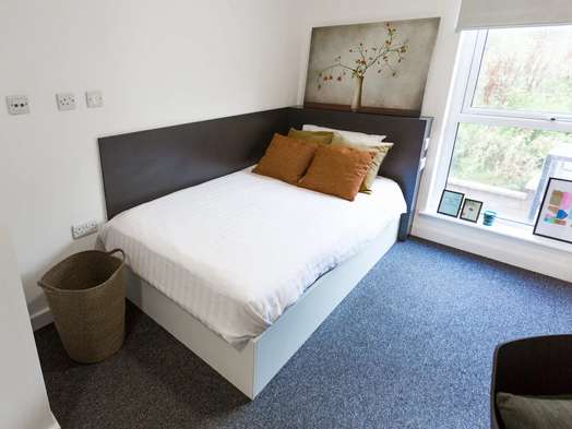 Premium Studio Accessible