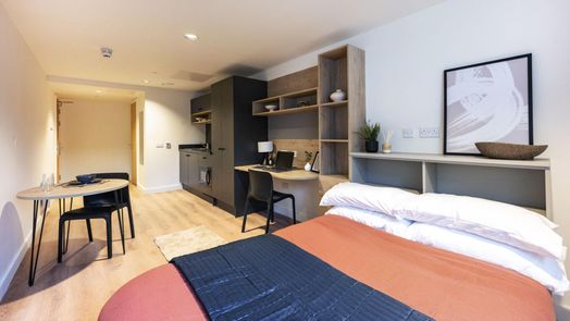 Large Premium Studio