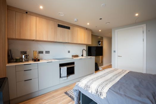 Accessible Studio, Penthouse