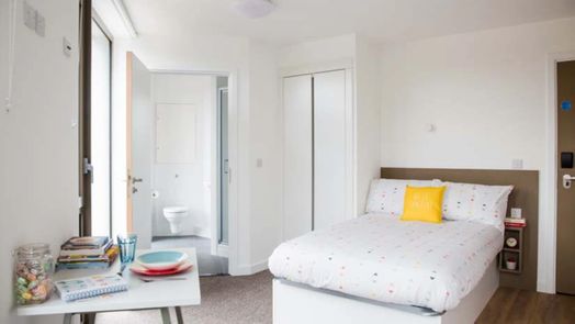 Platinum Studio Accessible