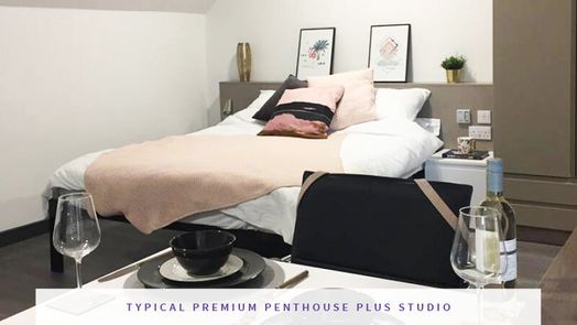 Premium Plus Penthouse Studio