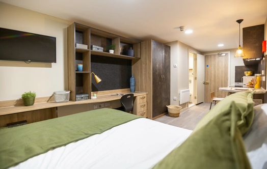 Basement Studio Plus