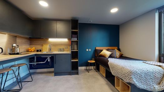 Premium Accessible Studio