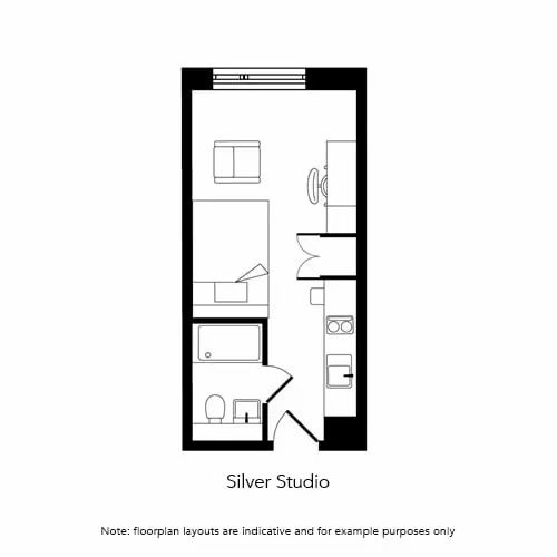 Silver Studio