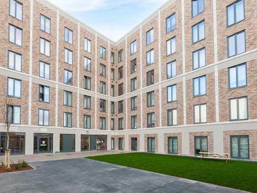 Photo of a scotland Nest Straits Meadow.