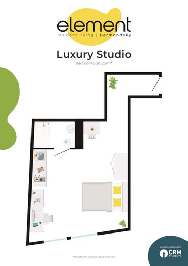 Luxury Studio