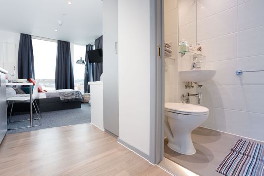 Standard Plus Studio