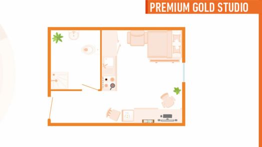 Premium Gold Studio
