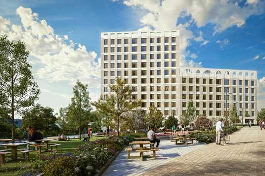 Photo of a timber Yard.