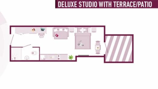 Deluxe Studio with Terrace