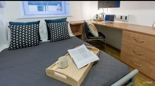 Photo of a double-bed ensuite room in a student hall in Exeter.