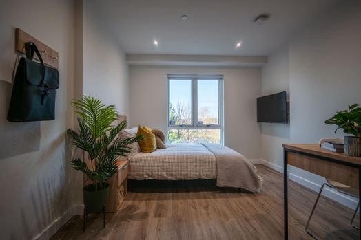 Classic Studio Floor 1-4