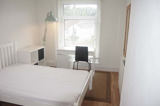 Photo of a 4 Rooms Available for 2025/26 in Brynmill, Swansea.