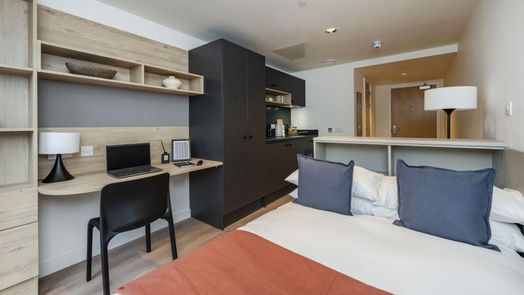 Large Classic Studio