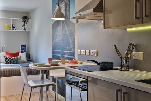 Classic Bigger Studio - Cityscape View