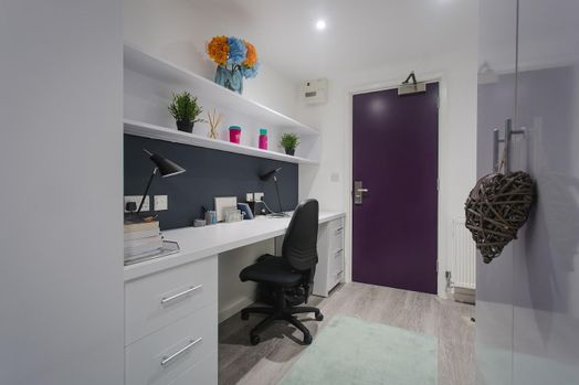 Standard Plus Studio