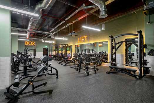 Photo of a  True Nottingham.