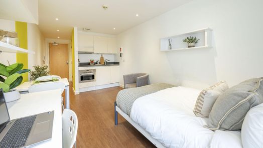 Standard Studio Gold Plus