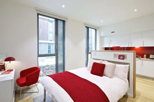 Standard Studio Silver - Dual Aspect