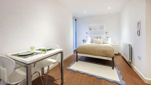 Large Standard Studio Dual Aspect